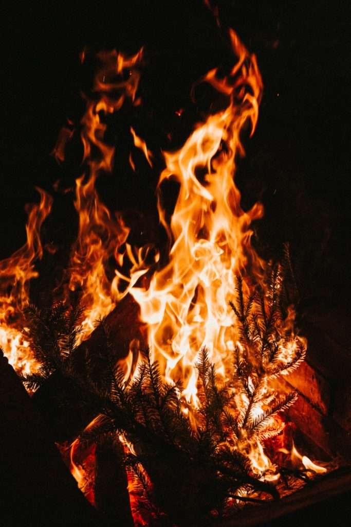 bonfire during night