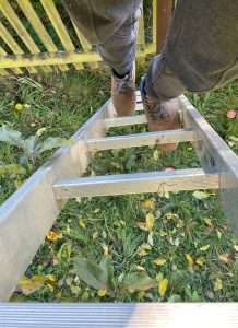 Person climbing a ladder in a grassy yard.
